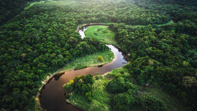 Aerial view of Atlantic forest in Brazil